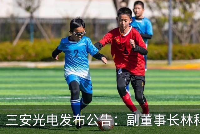三安光电发布公告：副董事长林科闯已解除留置限制